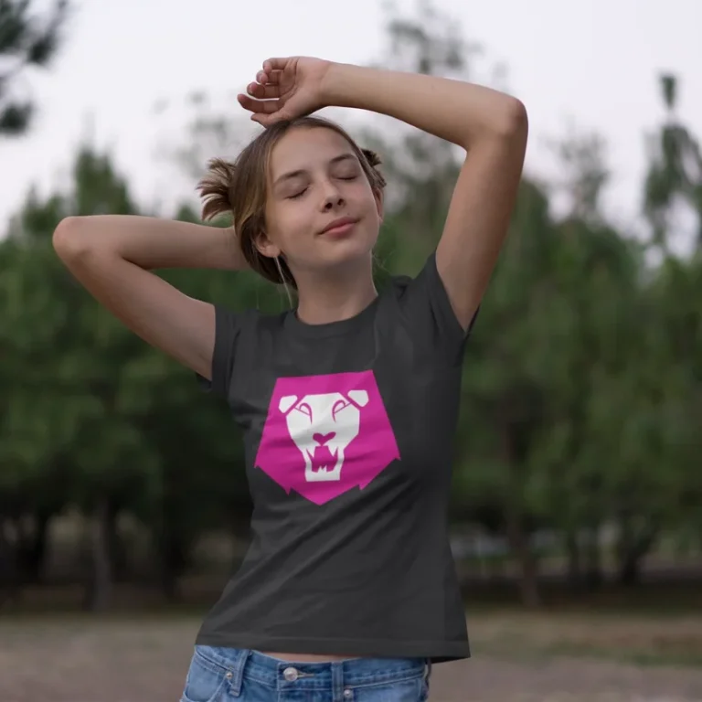 kpop demon hunters merch