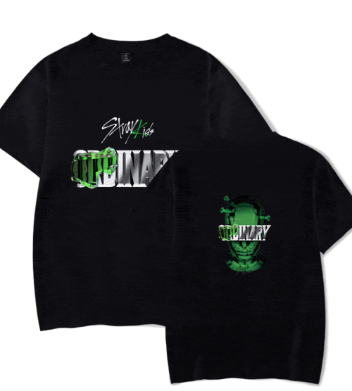 Stray Kids T-Shirt #19