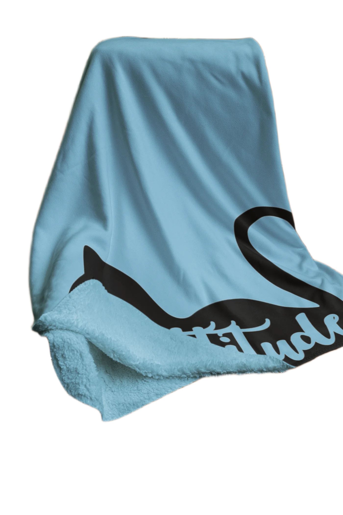 Cattitude Blanket #43 - Image 2