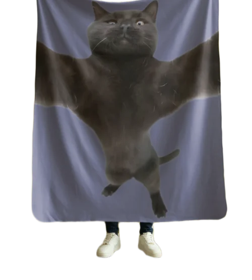 Have a Hug Blanket #15