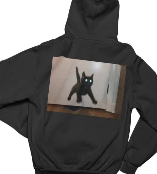 “Scared kitty” Hoodie #48