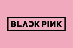 blackpink merch