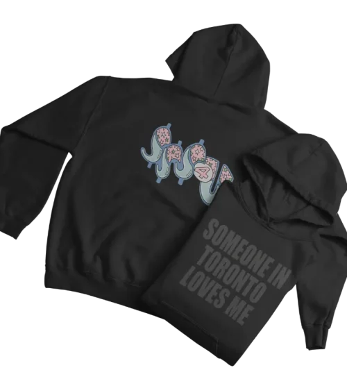 Someone in Toronto Hoodie